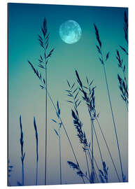 Magnettafel Vollmond über den Gräsern