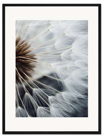 Gerahmter Kunstdruck Innenleben einer Pusteblume II