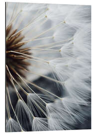 Magnettafel Innenleben einer Pusteblume II