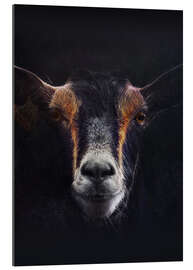 Gallery print Goat Portrait