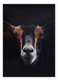 Wall print  Goat Portrait
