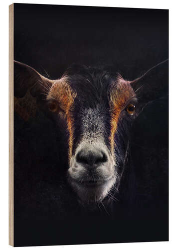 Wood print Goat Portrait