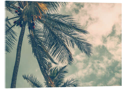 Acrylic print Palm trees in summer