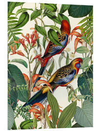 Foam board print Tropical Birds I