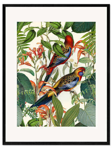 Impression artistique encadrée Oiseaux tropicaux I