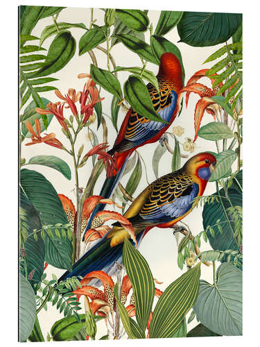 Gallery print Tropical Birds I