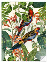 Naklejka na ścianę Tropical Birds I