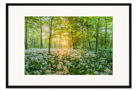 Gerahmter Kunstdruck Märchenwald mit Bärlauch