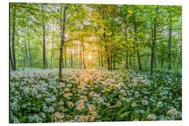 Magnettafel Märchenwald mit Bärlauch