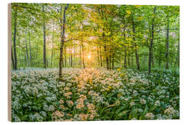 Wood print Fairytale forest with wild garlic