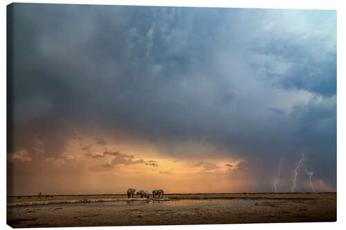 Canvas print Thunderstorm Elephants