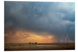 Tableau en PVC Éléphants sous l'orage