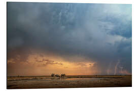 Magnettafel Elefanten im Gewitter