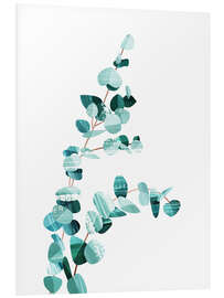 Foam board print Eucalyptus II