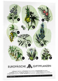 Acrylic print European poisonous plants (German)