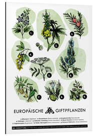 Aluminium print European poisonous plants (German)