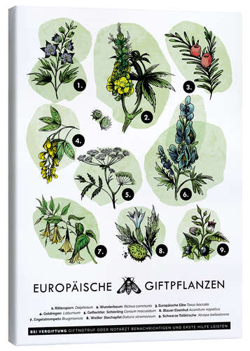 Canvas print European poisonous plants (German)