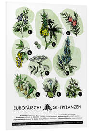 Hartschaumbild Europäische Giftpflanzen