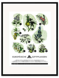 Gerahmter Kunstdruck Europäische Giftpflanzen
