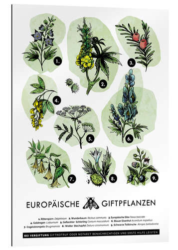 Gallery print European poisonous plants (German)