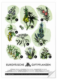 Wandsticker Europäische Giftpflanzen