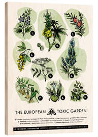 Cuadro de madera El jardín europeo tóxico (inglés) - Velozee