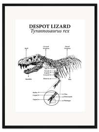 Gerahmter Kunstdruck Anatomie eines Tyrannosaurus rex (Englisch)