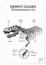 Wall sticker Anatomy of a tyrannosaurus rex