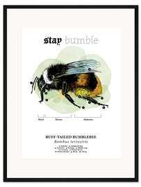 Gerahmter Kunstdruck Anatomie der Dunklen Erdhummel (Englisch)