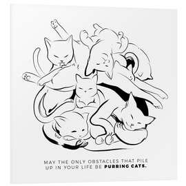 Foam board print A bunch of purring cats