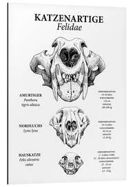 Aluminium print Felines in comparison (German)