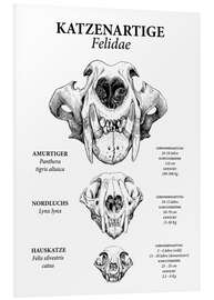 Obraz na PCV Felines in comparison (German)