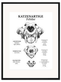Gerahmter Kunstdruck Katzenartige im Vergleich