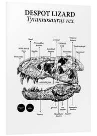 Bilde på skumplate Hode av Tyrannosaurus rex