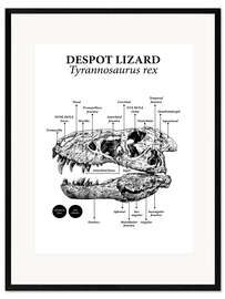 Framed art print Skull of a Tyrannosaurus rex