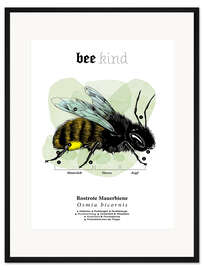 Gerahmter Kunstdruck Anatomie einer Rostroten Mauerbiene