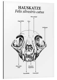 Stampa su alluminio Composizione del cranio del gatto domestico