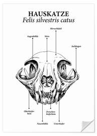 Selvklæbende plakat Schädelaufbau der Hauskatze