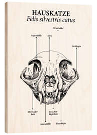 Holzbild Schädelaufbau der Hauskatze