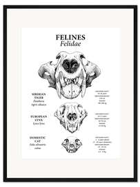 Gerahmter Kunstdruck Katzen im Vergleich (Englisch)