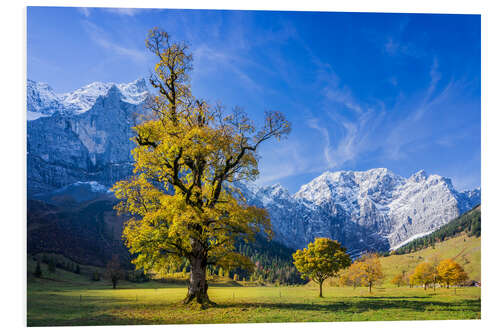 Foam board print Autumn in the Ahornboden - Karwendelgebirge, Alps