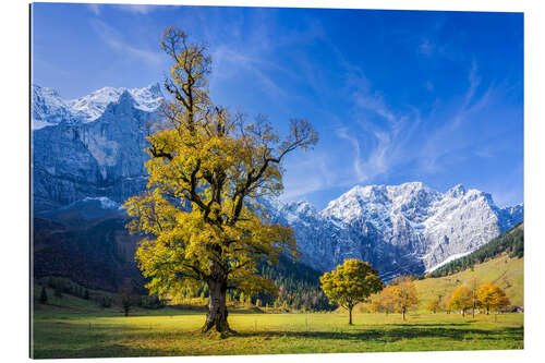 Quadro em plexi-alumínio Outono no Ahornboden - Karwendelgebirge, Alpes