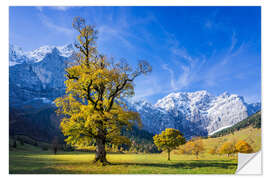 Wall sticker Autumn in the Ahornboden - Karwendelgebirge, Alps