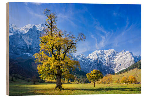 Tableau en bois Automne près du massif des Karwendel, Alpes