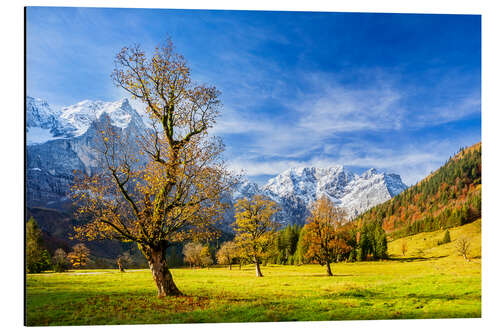 Alubild Herbst im Ahornboden - Karwendelgebirge, Alpen