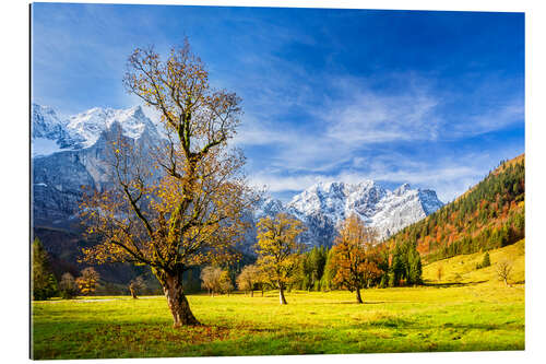 Gallery print Autumn in the Ahornboden - Karwendelgebirge, Alps