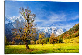 Quadro em plexi-alumínio Outono no Ahornboden - Karwendelgebirge, Alpes