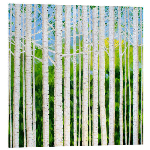 Acrylglasbild Birkenwald