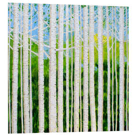 Foam board print Birch grove