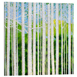 Tableau en plexi-alu Forêt de bouleaux